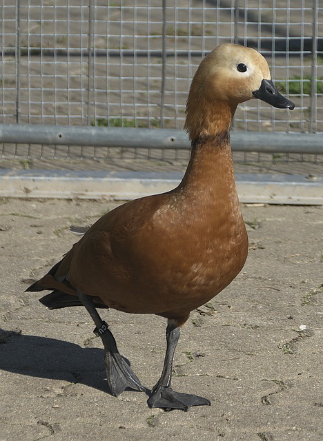 這尤其重要